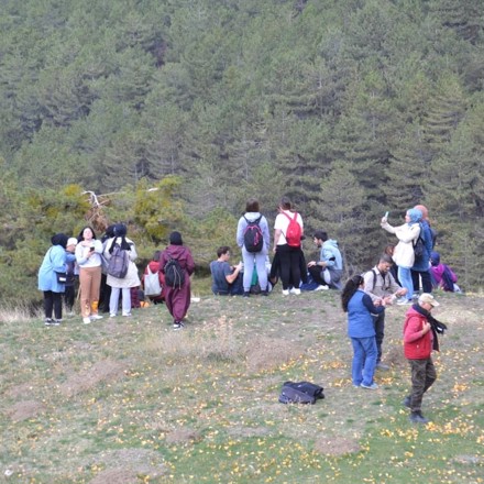 Kestel ormanı çevre temizliği